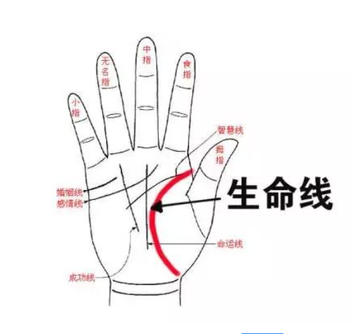 手相三条线，到底在说什么