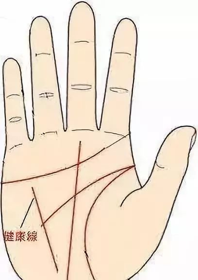 手相三条线，别瞎琢磨，老张给你说说门道