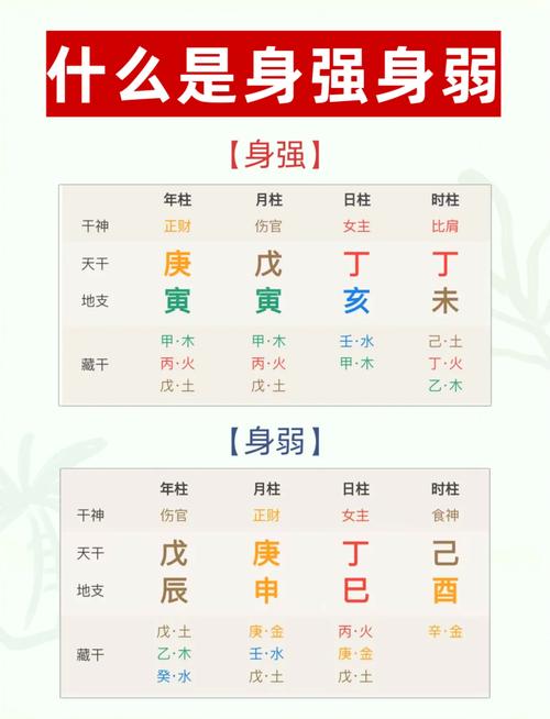 身强身弱不是命,是你的活法