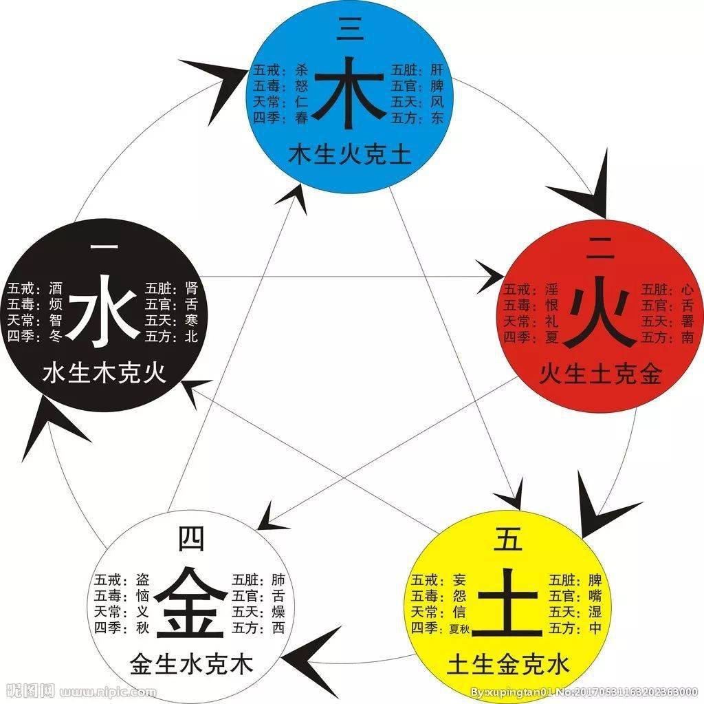 缺啥补啥?你当是买菜呢