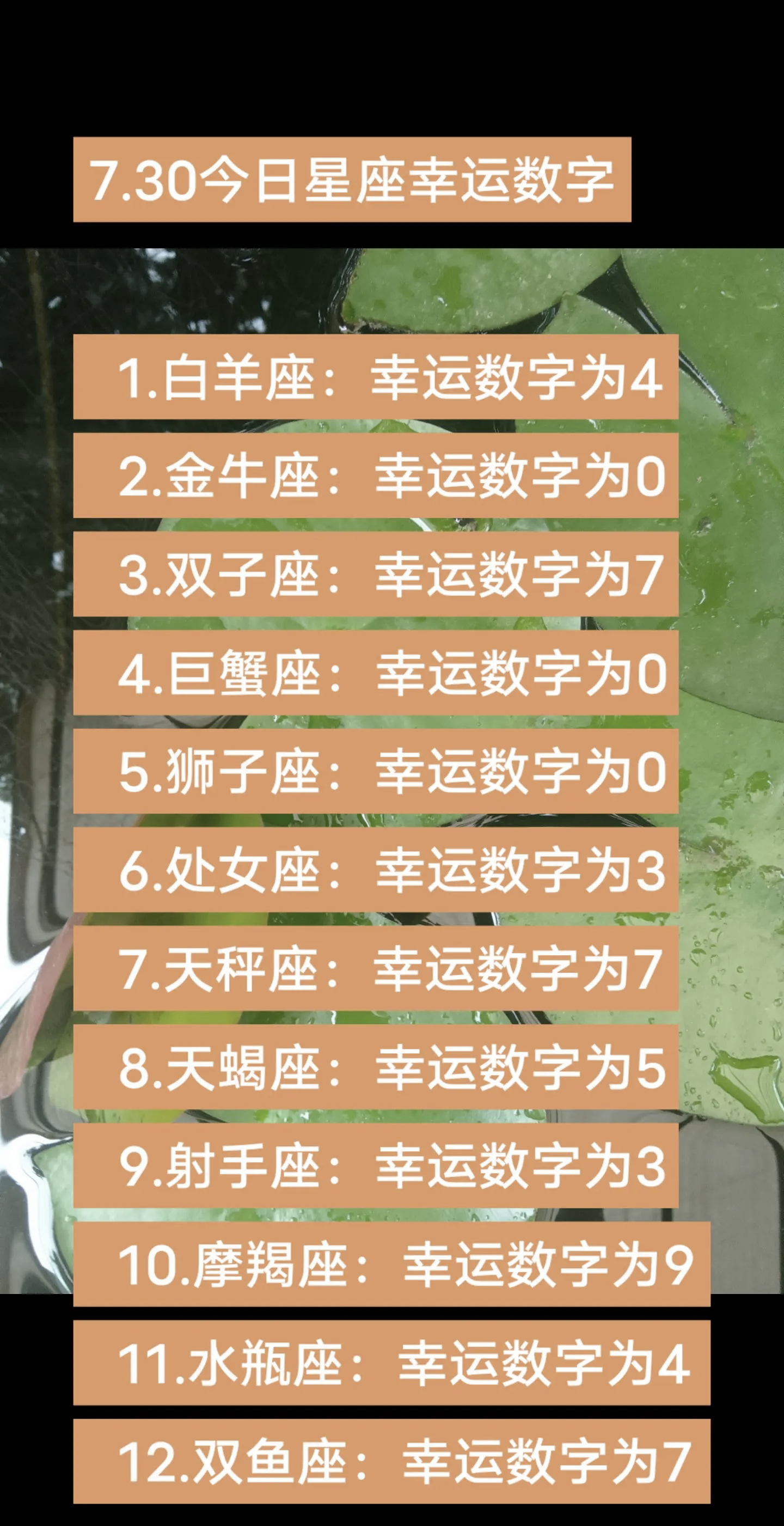 天蝎座2024运势查询(2025年天蝎座运势视频) 天蝎座2024运势查询(2025年天蝎座运势视频)