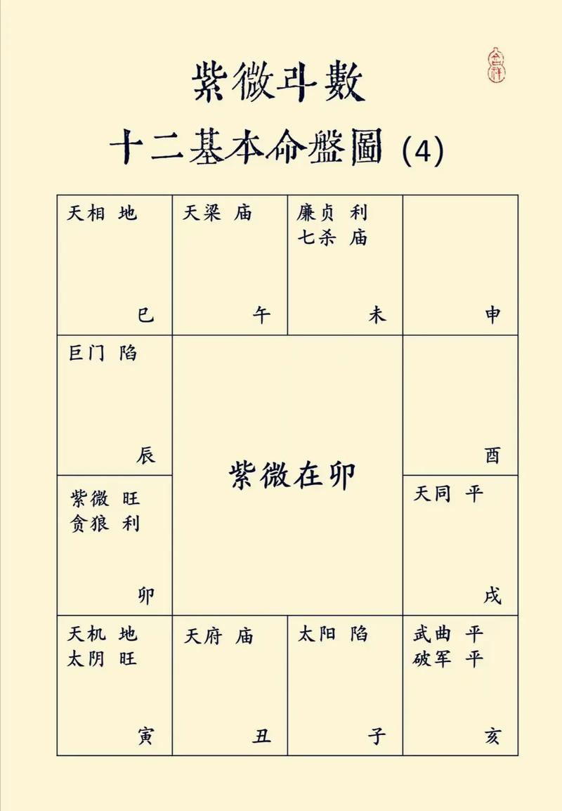 紫薇命盘详解(免费版)(紫薇命盘详解免费版2023)