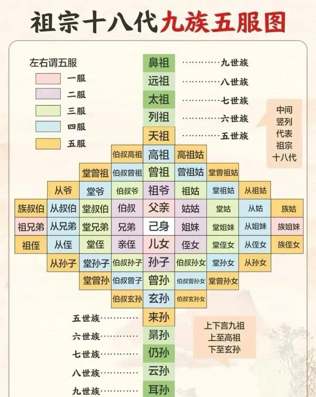 精准族谱教程(族谱软件哪个最实用) 精准族谱教程(族谱软件哪个最实用)