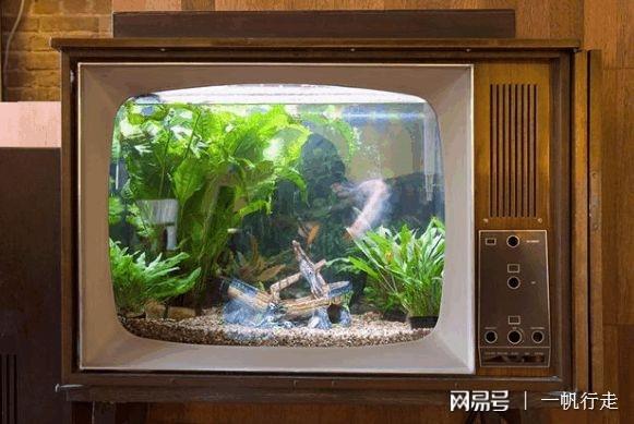 平台风水(风水网站哪个好) 平台风水(风水网站哪个好)