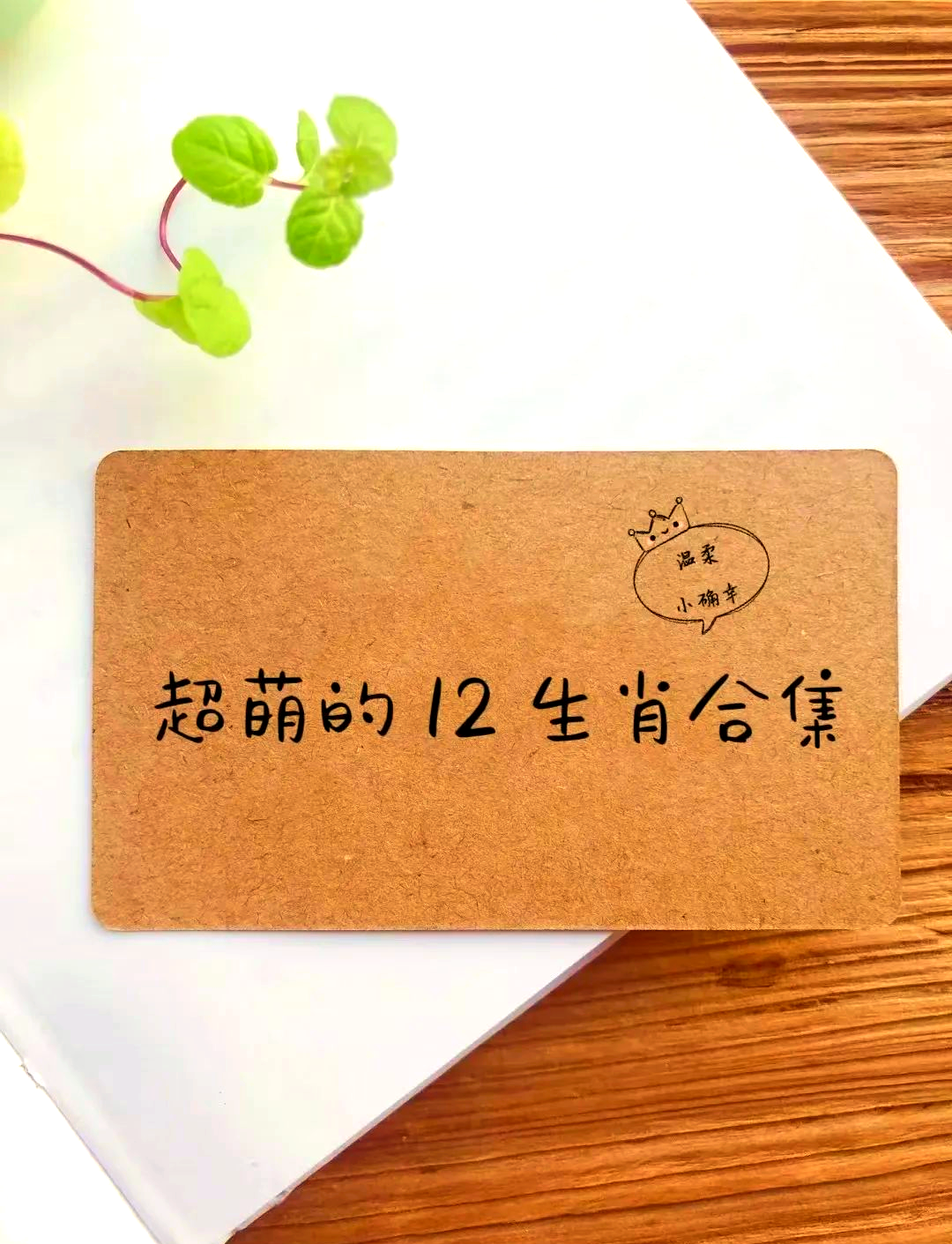 最新生肖教程(生肖生肖准确指南)