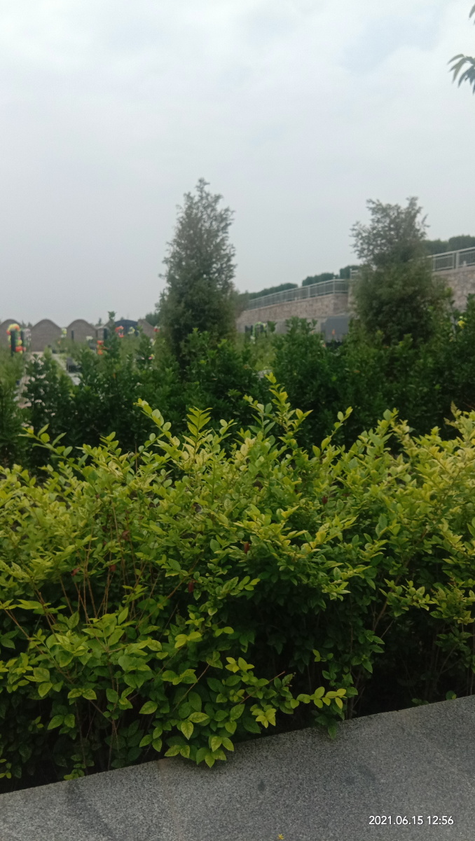 相宅朝山(阳宅朝山凹)