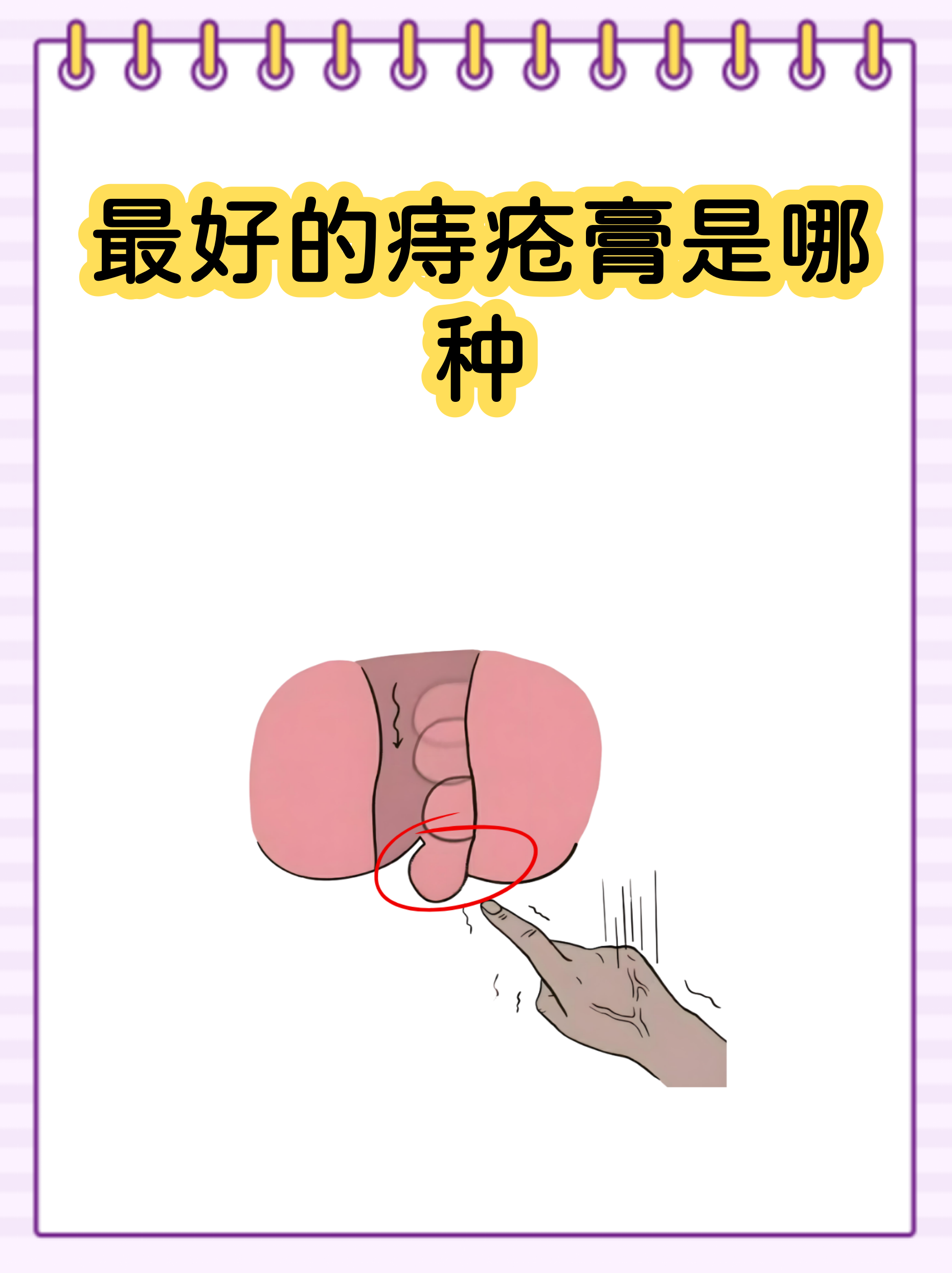 完整版姓指南的简单介绍