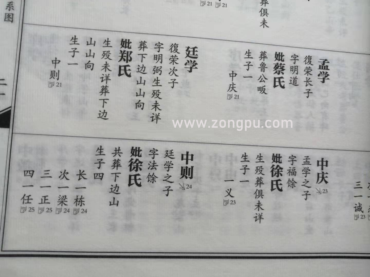 自动族谱真的吗(好用的族谱制作软件) 自动族谱真的吗(好用的族谱制作软件)