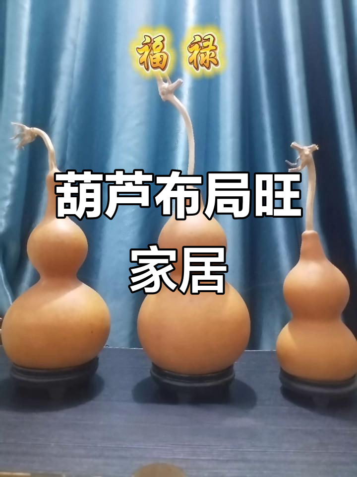 葫芦相宅(葫芦镇宅的葫芦口朝右吗) 葫芦相宅(葫芦镇宅的葫芦口朝右吗)