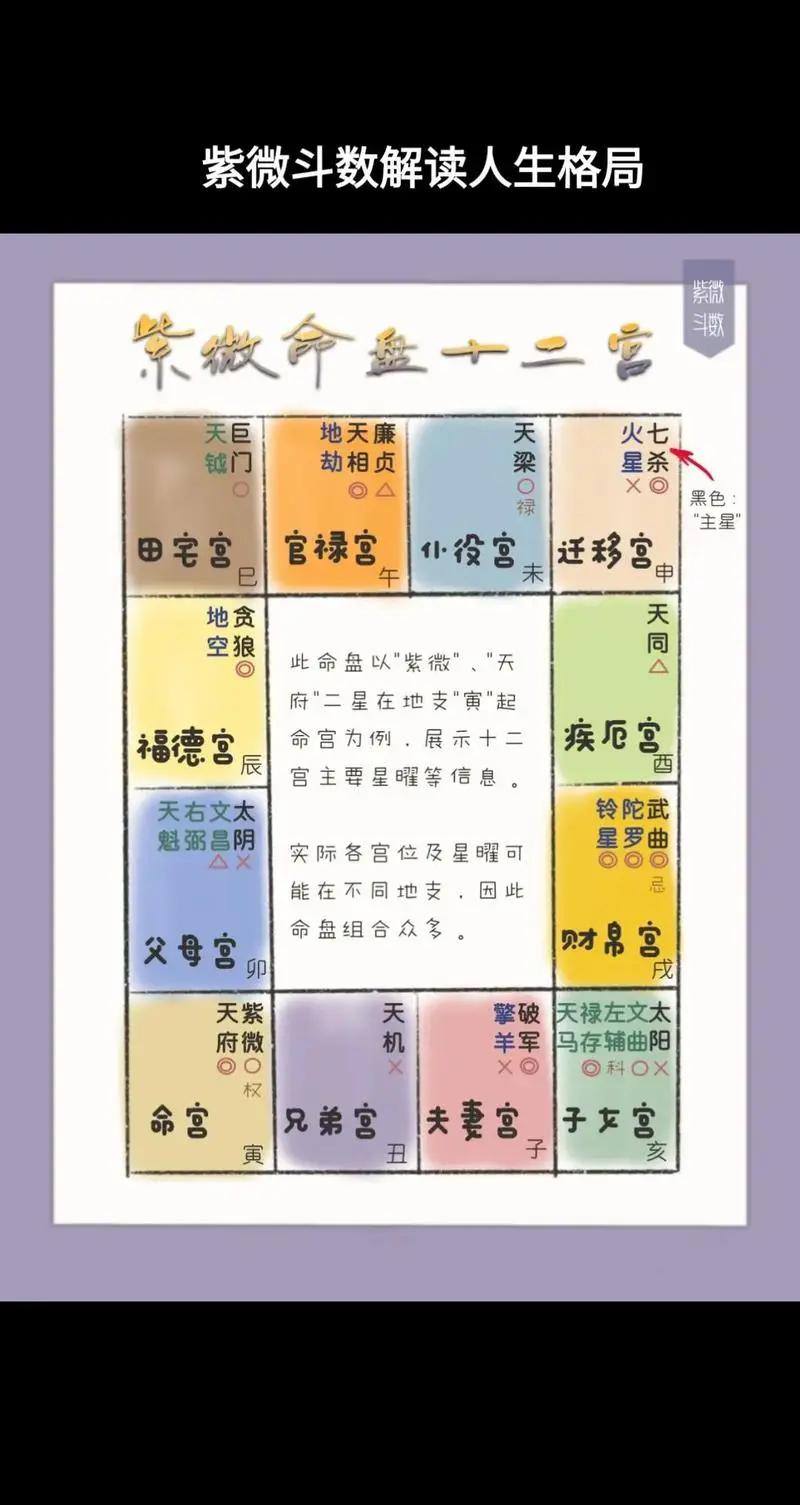 紫微排盘免费版官网 紫微排盘免费版官网