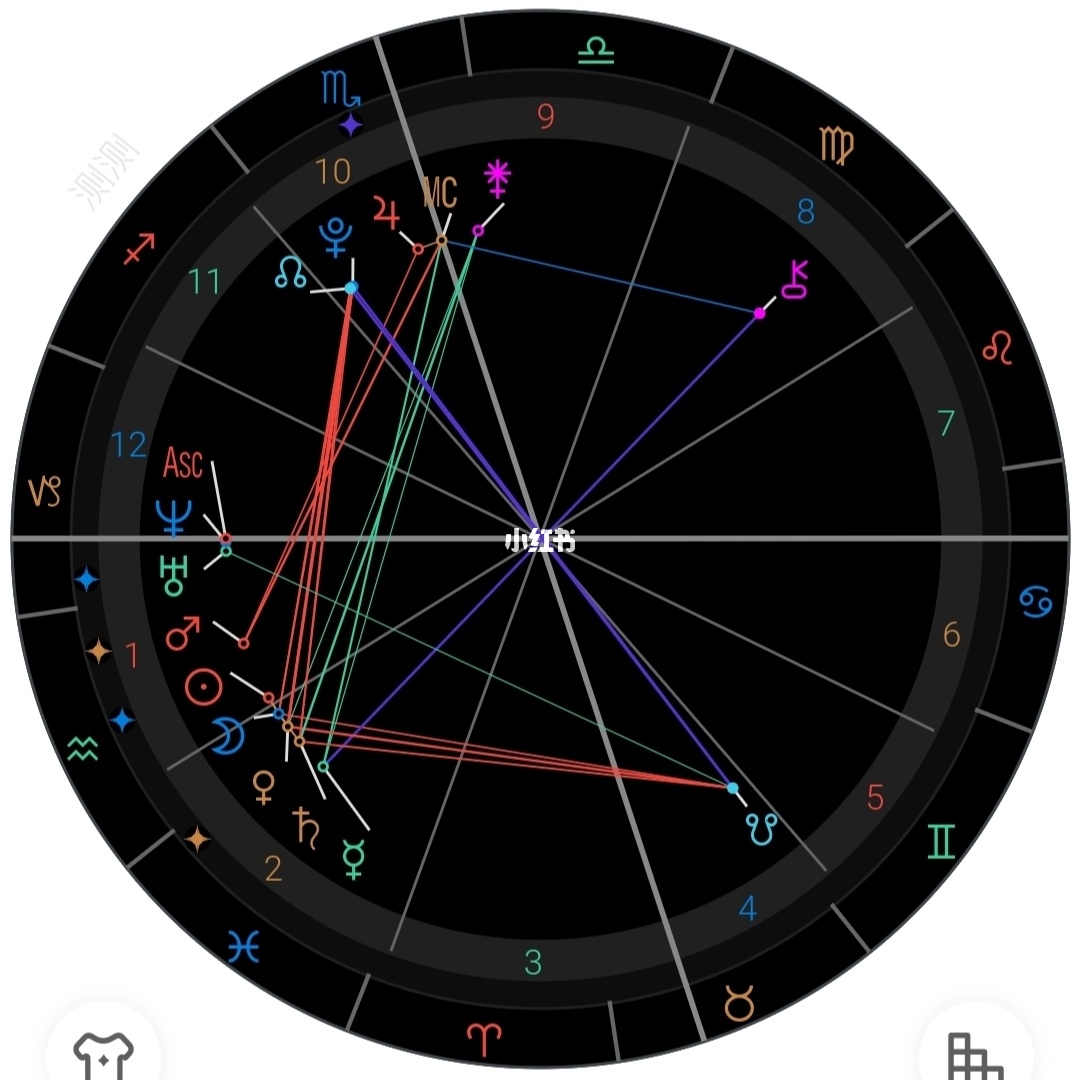 测星盘免费查询