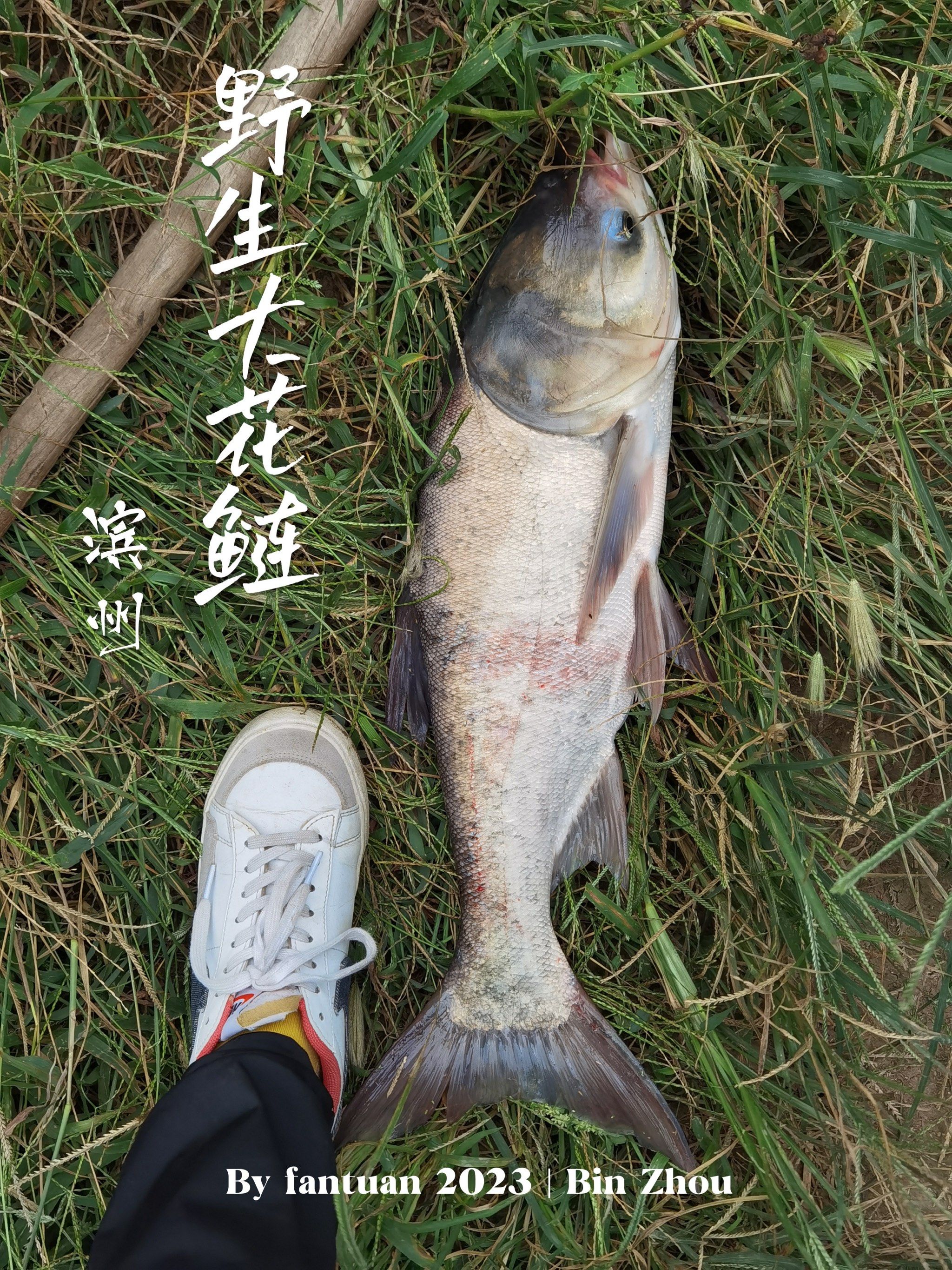 苦花鱼几月份最好钓 苦花鱼几月份最好钓