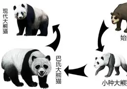 动物姓氏的由来和历史 动物姓氏的由来和历史