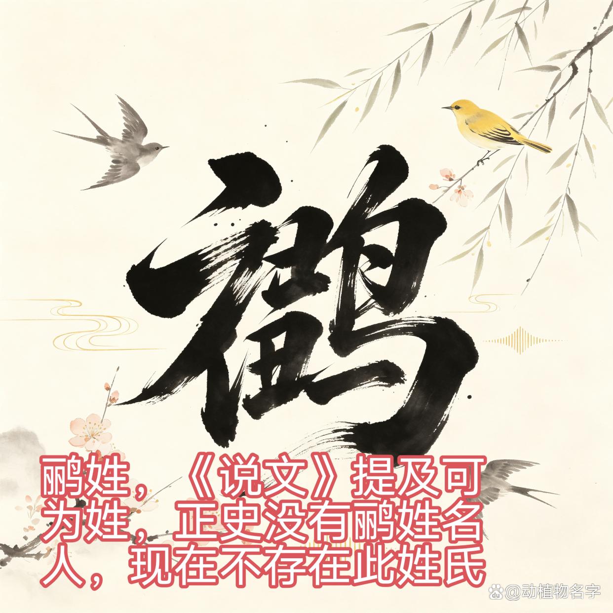 动物姓氏的由来故事