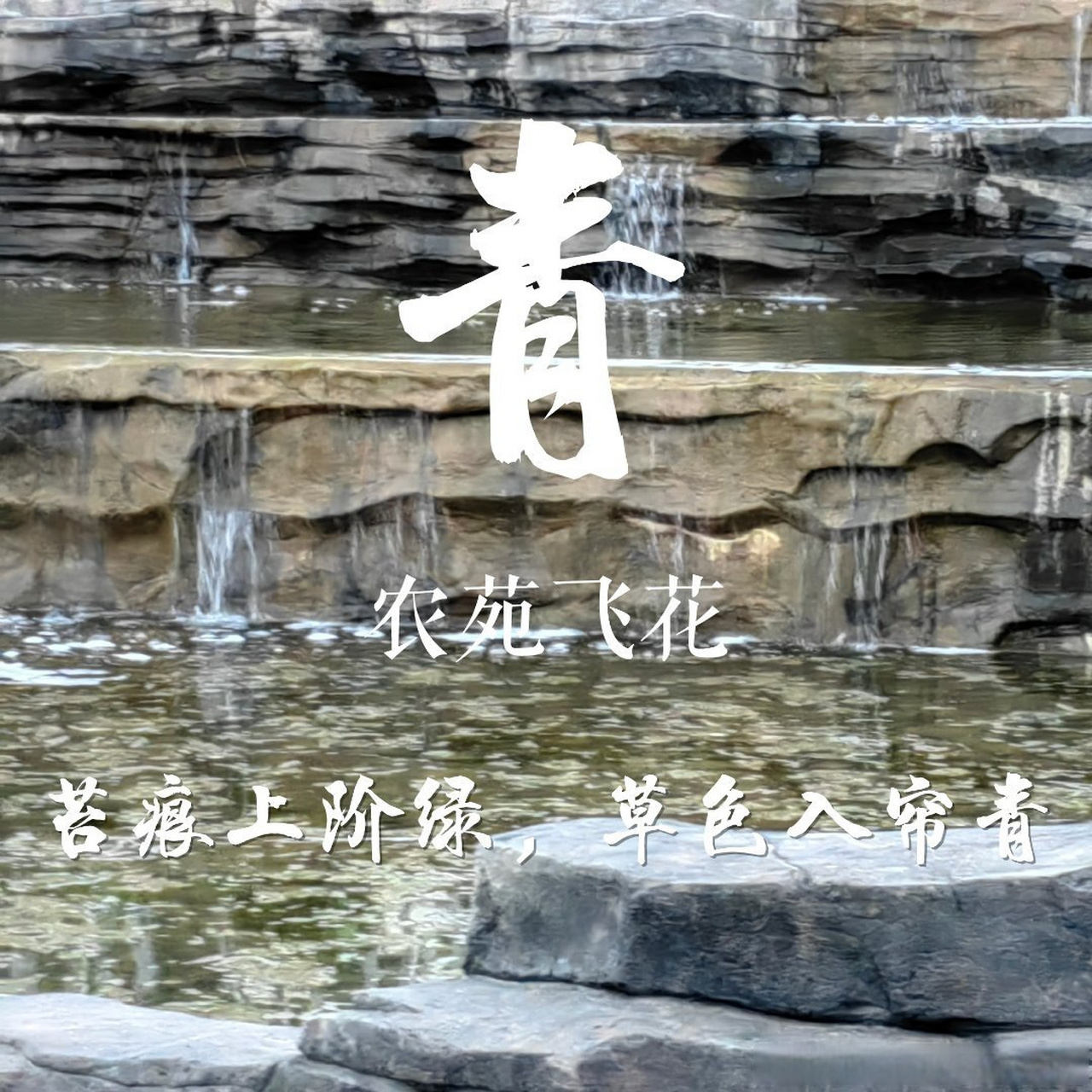 入帘青在哪里
