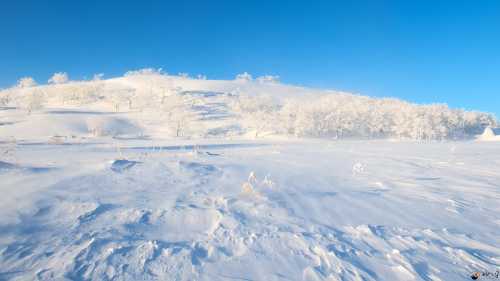 梦见下雪在周公解梦中的含义 梦见下雪在周公解梦中的含义