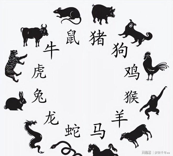 今年生肖好不好 今年生肖好不好
