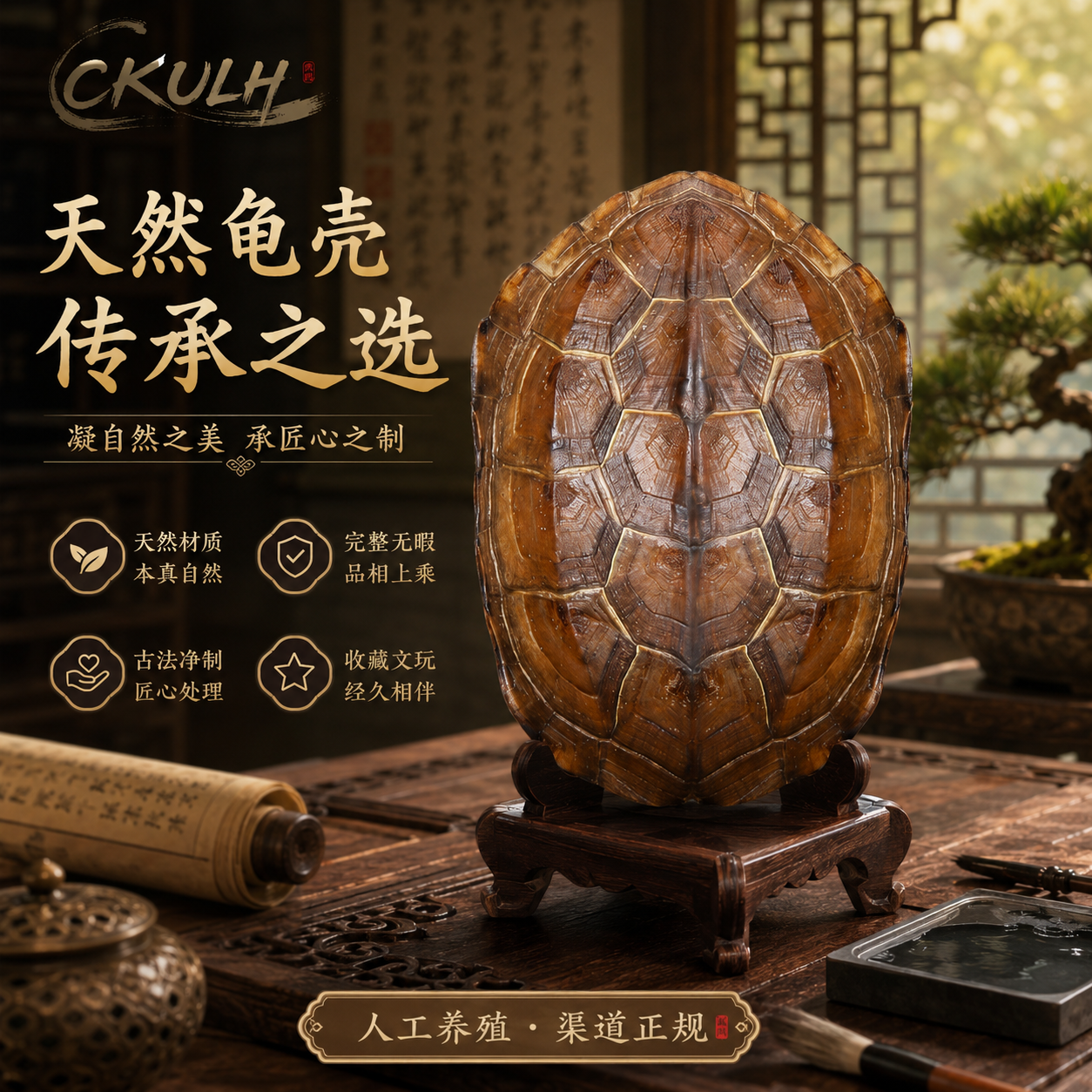 六爻用龟壳占卜的具体步骤的简单介绍 六爻用龟壳占卜的具体步骤的简单介绍