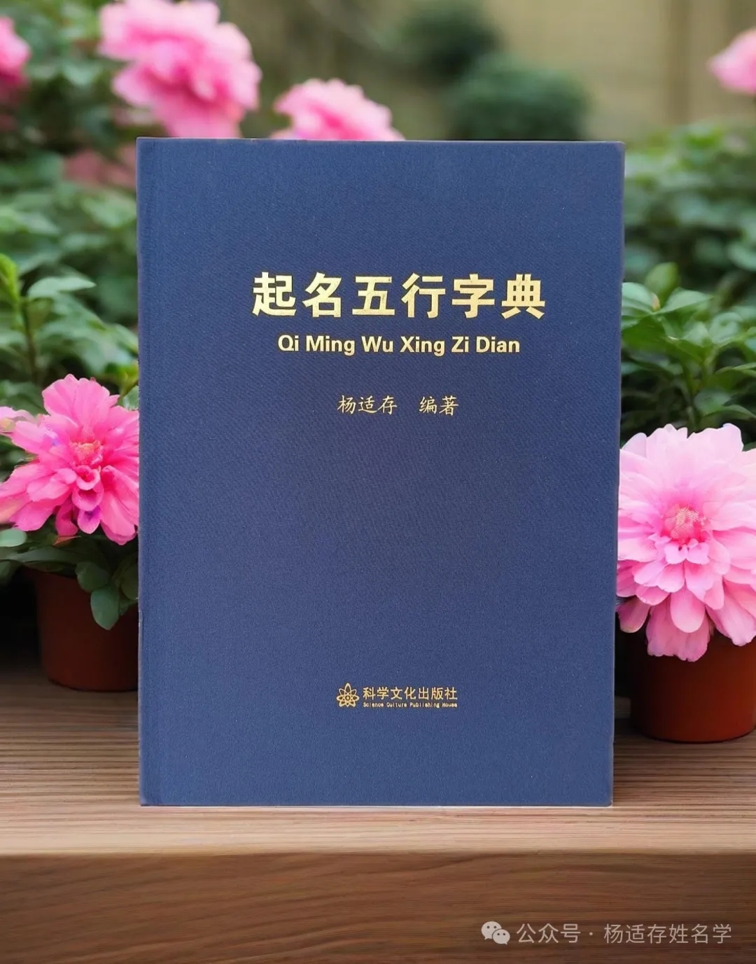 起名专用字典 起名专用字典
