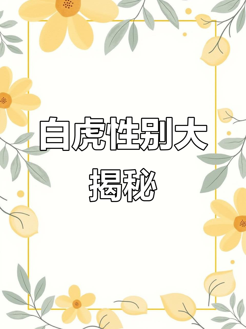白虎是代表什么意思 白虎是代表什么意思