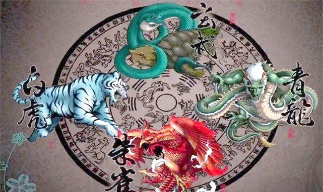 白虎是代表什么意思 白虎是代表什么意思