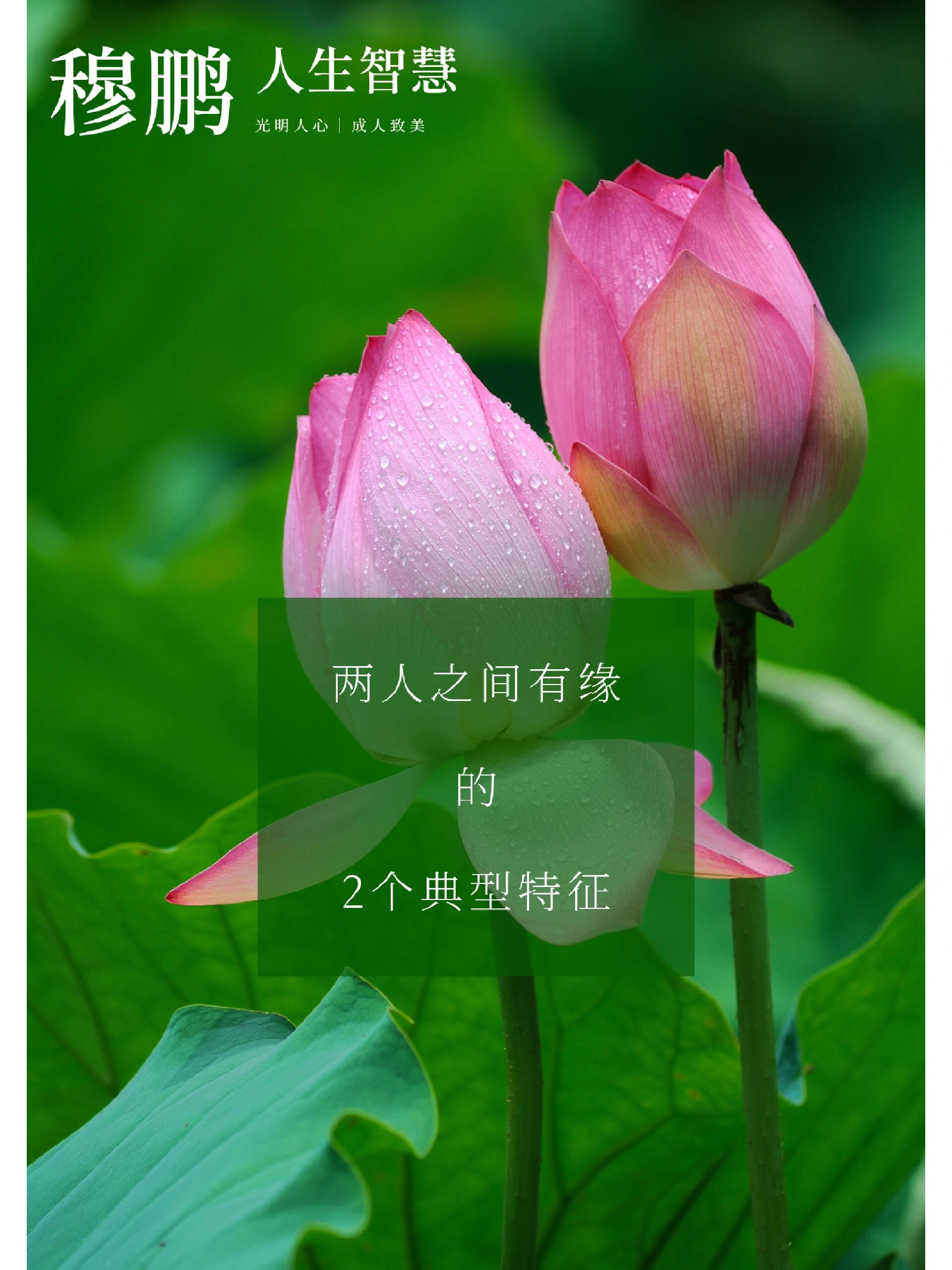 测两个人的名字是否有缘 测两个人的名字是否有缘