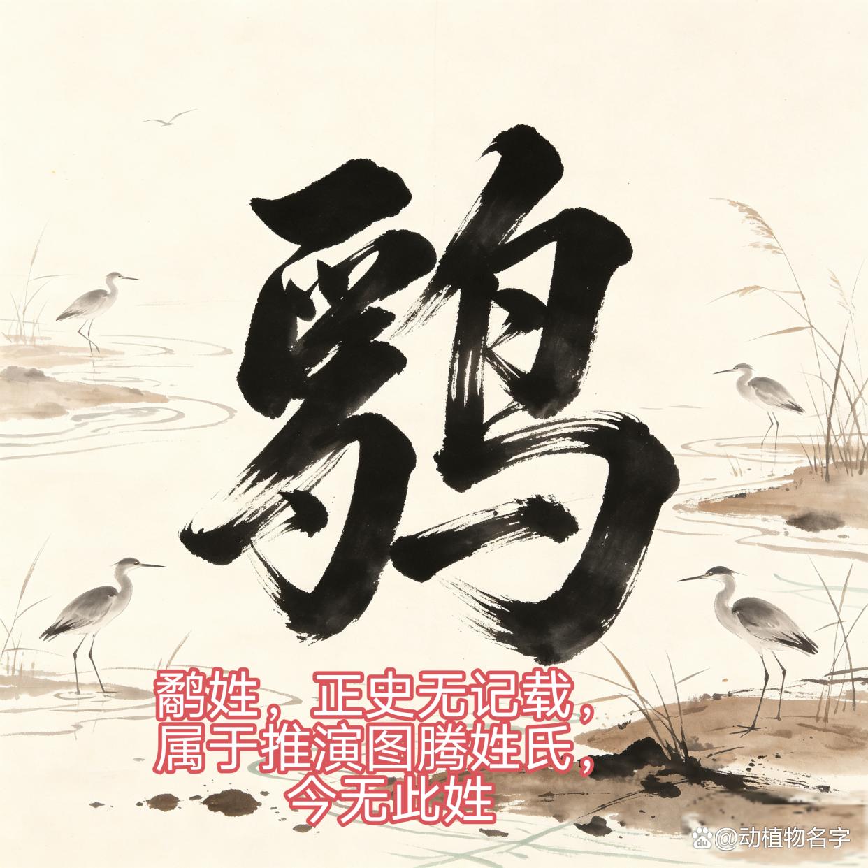 常见动物姓氏大全 常见动物姓氏大全