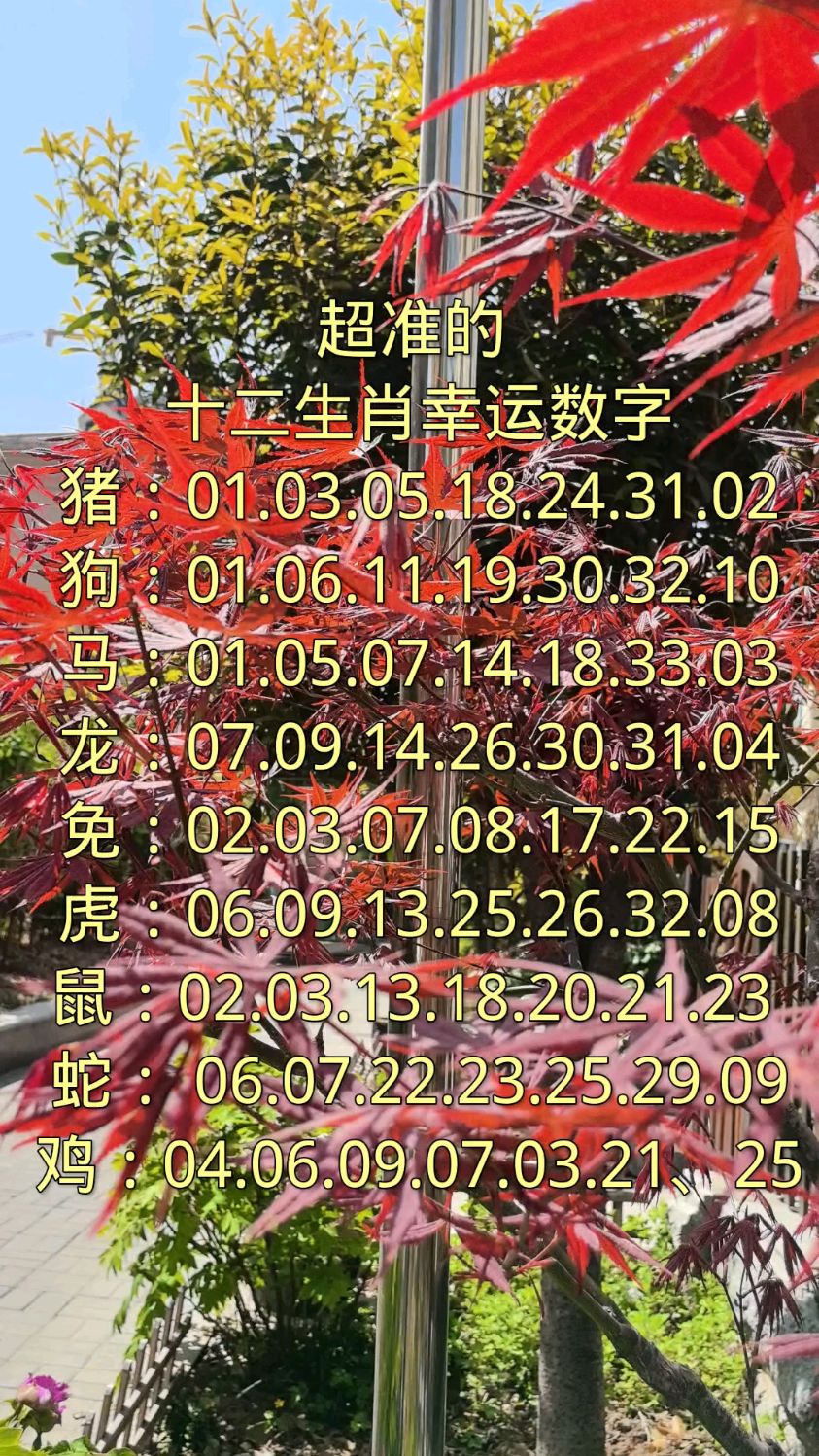 生肖神数 生肖神数