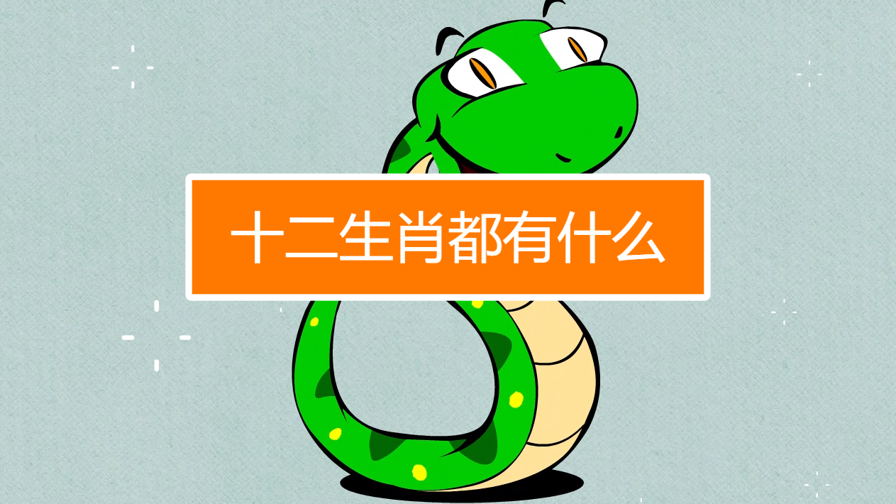 视频十二生肖准吗 视频十二生肖准吗