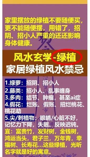 玄学风水算迷信吗为什么