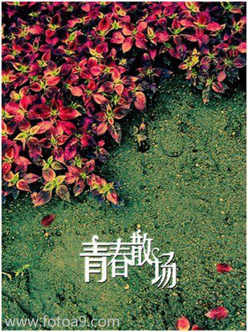 佛滔姓名算命网 佛滔姓名算命网