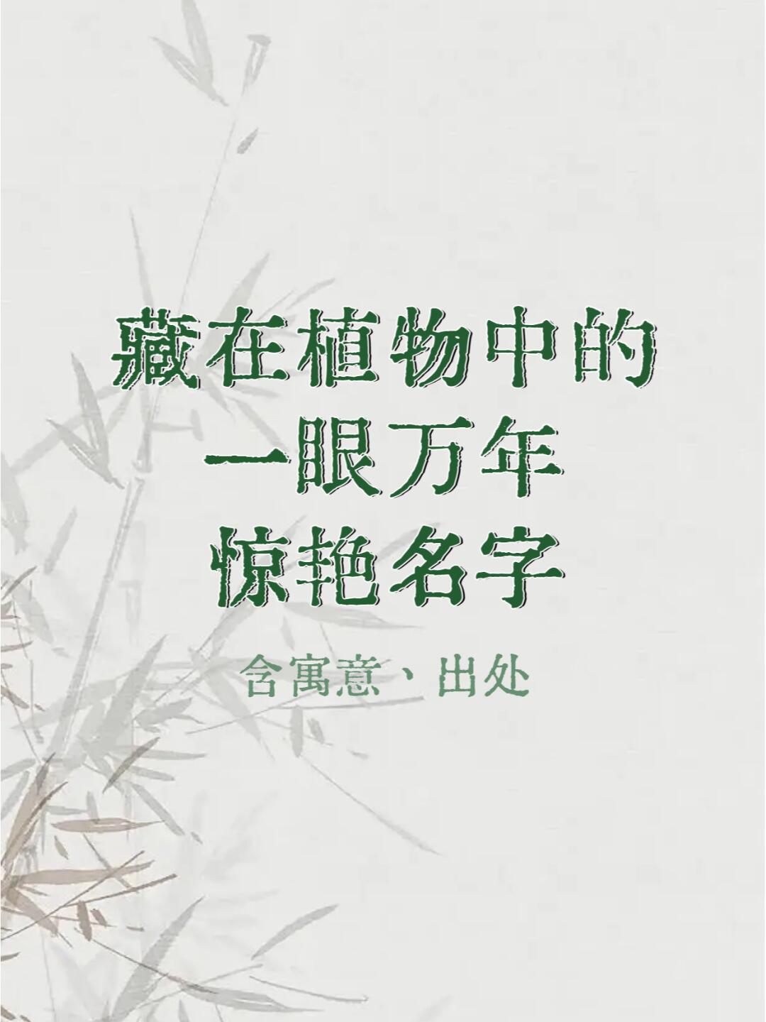 思源这个名字的寓意 思源这个名字的寓意