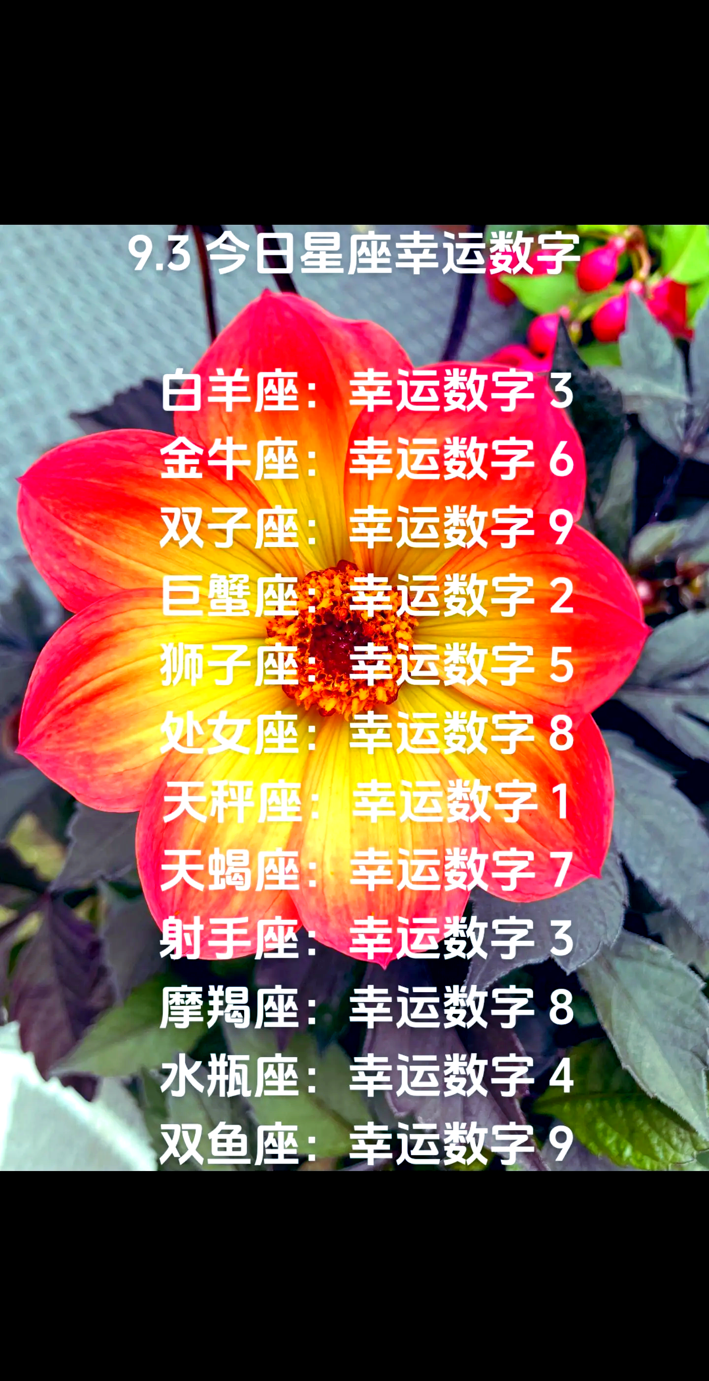 金牛座今日运势查询第一星座网的简单介绍 金牛座今日运势查询第一星座网的简单介绍