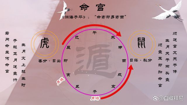 八字排盘祥解免费 八字排盘祥解免费