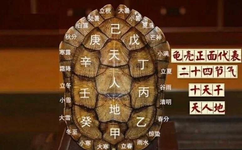 包含六爻龟壳每日一卦免费使用教程的词条