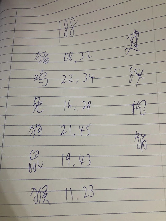 属相准不准