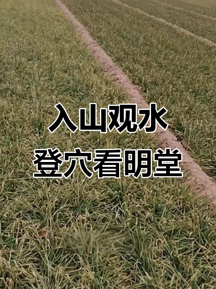 风水师怎么入门