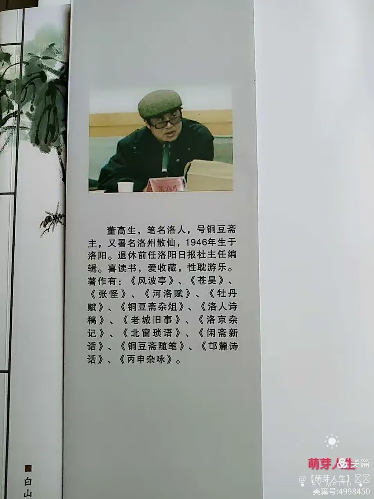 青年取名