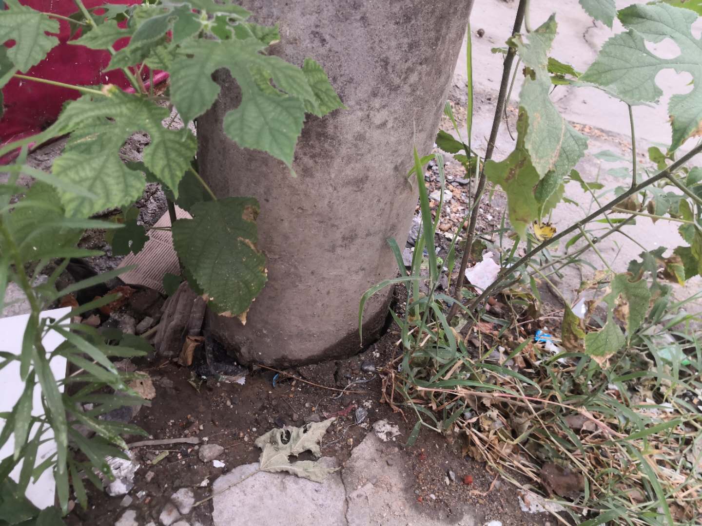 电线杆隔一条路是吉是凶