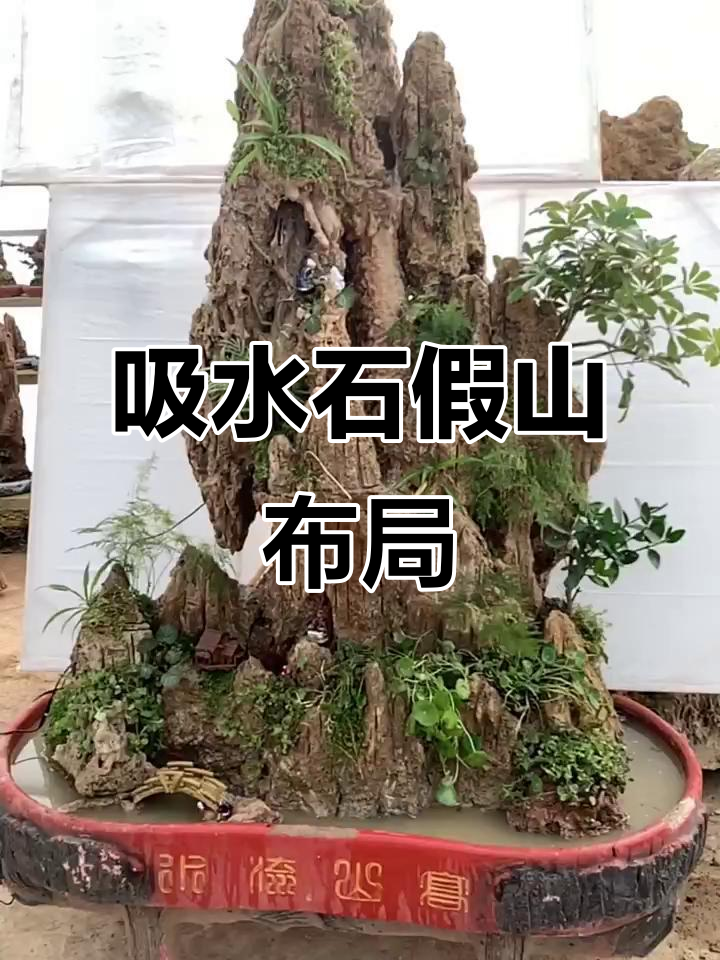 庭院假山的风水注意事项图片的简单介绍
