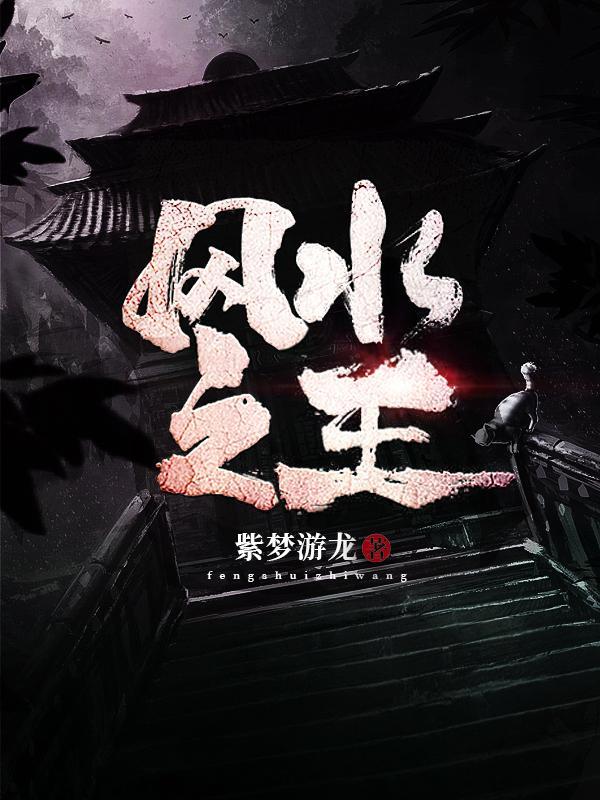 现代风水先生小说