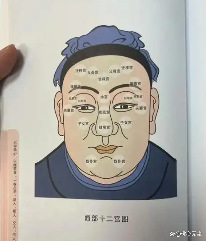 八字里有文曲星是什么意思的简单介绍 八字里有文曲星是什么意思的简单介绍