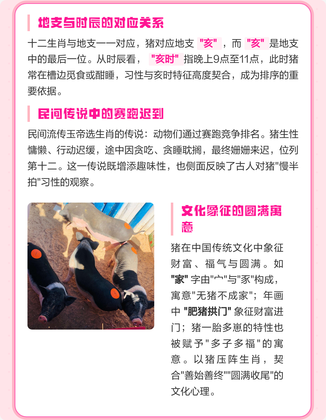 为什么属相