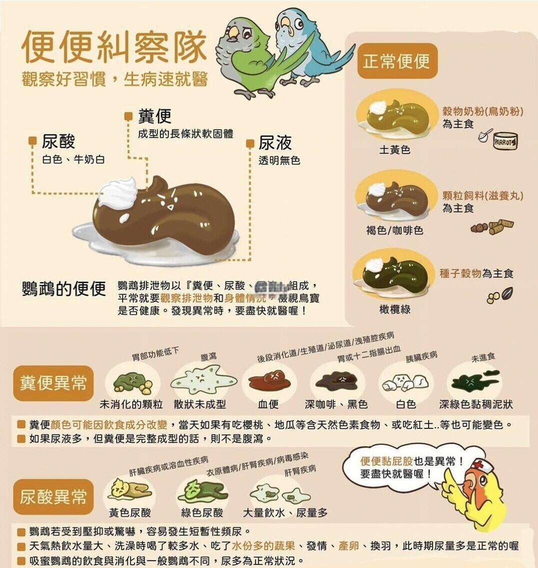 周公解梦中粪便代表什么