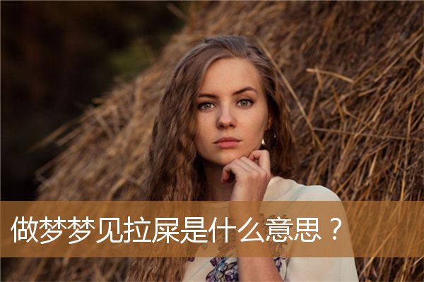 周公解梦周公解梦梦见拉屎