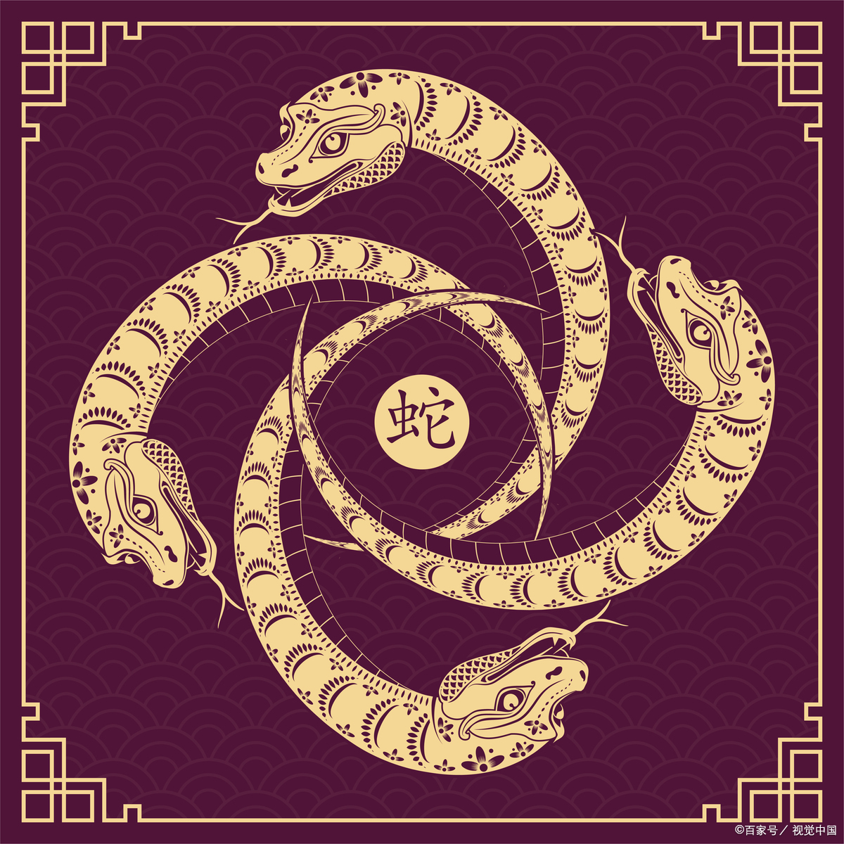属相蛇