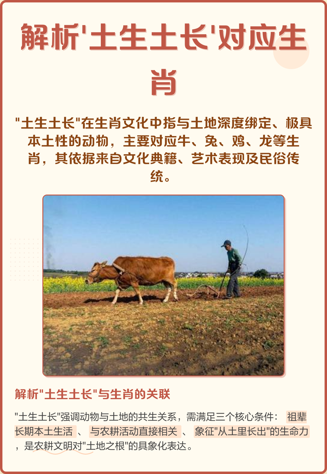 深度属相解析