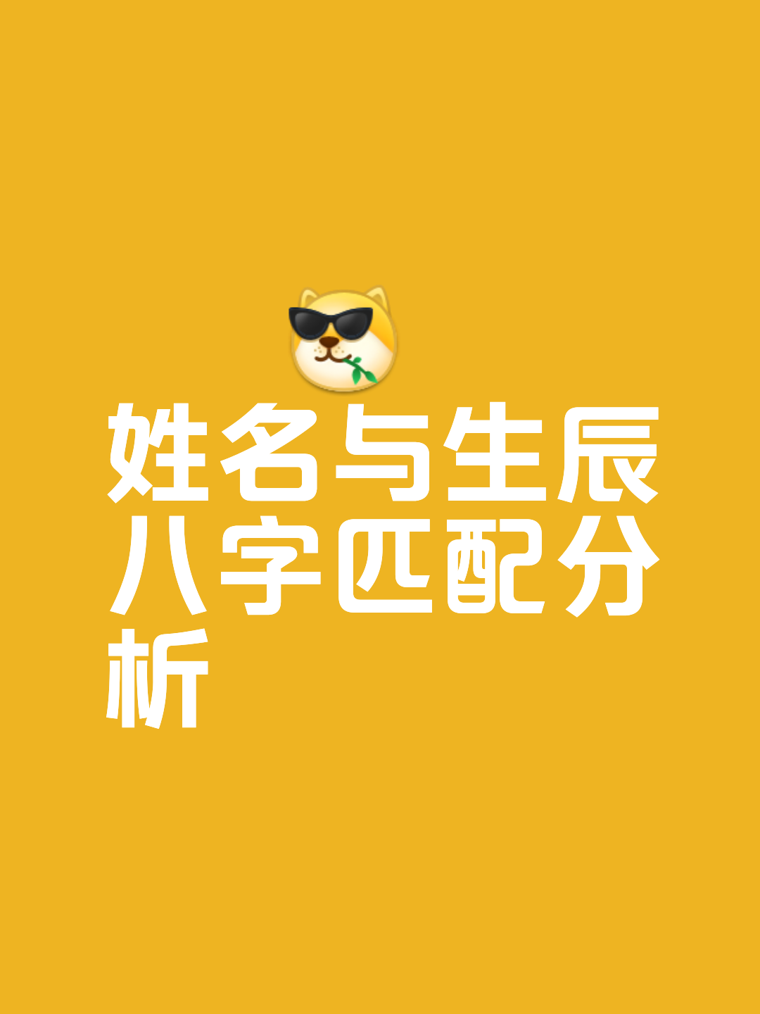测各打分