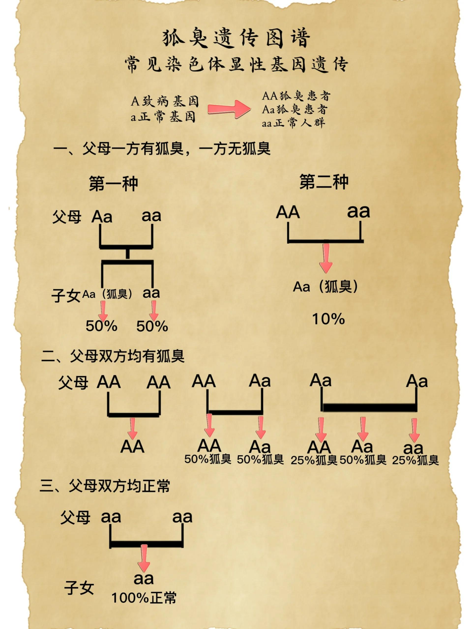 遗传狐臭多大年龄会出现