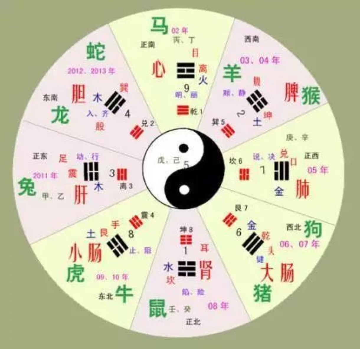 八卦对应的家庭成员 八卦对应的家庭成员